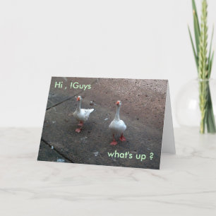 Tarjeta ¿qué pasa?, Hola, !Chicos