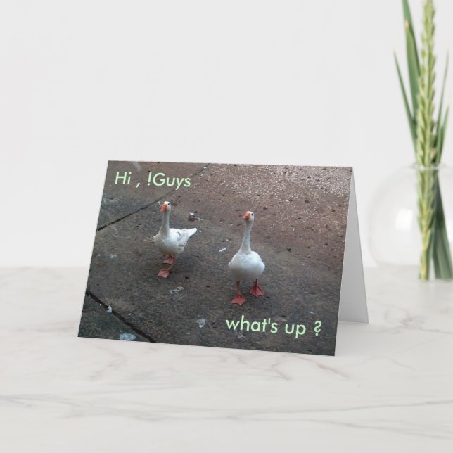 Tarjeta ¿qué pasa?, Hola, !Chicos (Anverso)