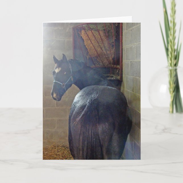 Tarjeta ¿Qué Quieres? (Anverso)