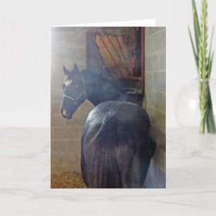 Tarjeta ¿Qué Quieres?