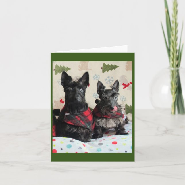 Tarjeta ¿Qué Reno? Carta (Anverso)