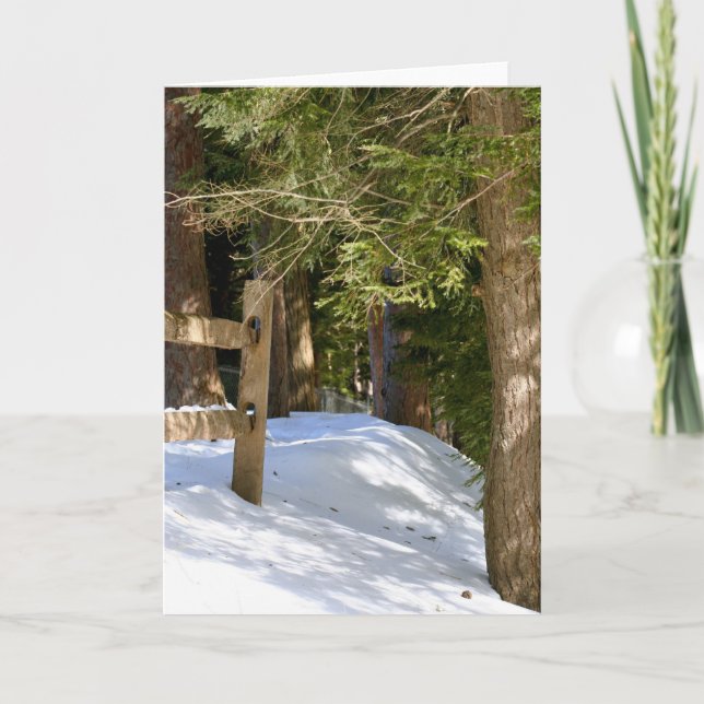 Tarjeta Quechee, rastro del VT (Anverso)