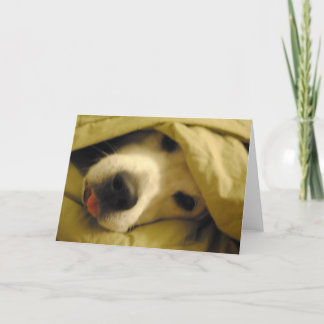 Tarjeta quedarse en la cama hasta el martes