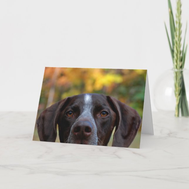 Tarjeta ¿Quién Dat Dog? (Anverso)