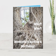 ¿Quién está teniendo un bebé búho en el árbol?