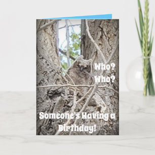 Tarjeta ¿Quién está teniendo un bebé búho en el árbol?