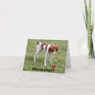 Tarjeta ¿Quiera jugar??