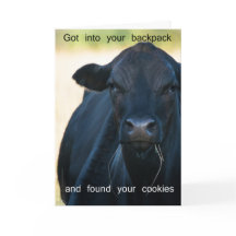 Quiera las galletas del s'more