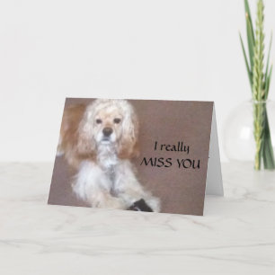 TARJETA QUIERES CONJUNTARTE-PERDONES