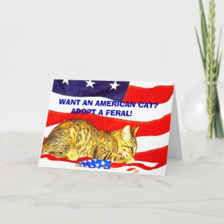 Tarjeta ¿Quieres un gato americano? ¡Adopta un Feral!