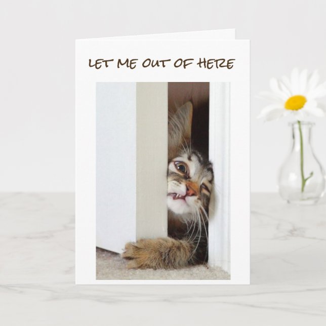 TARJETA QUIERO DECIR **FELIZ 16º CUMPLEAÑOS** A "TI" (Planta pequeña)