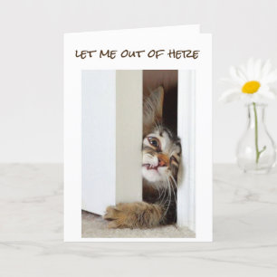 TARJETA QUIERO DECIR **FELIZ 16º CUMPLEAÑOS** A "TI"