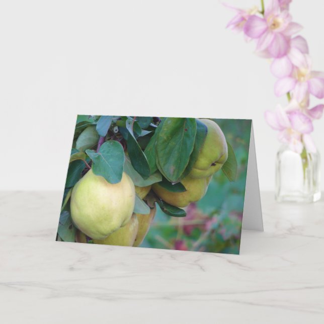 Tarjeta Quince Fruit Card (Orquídea)