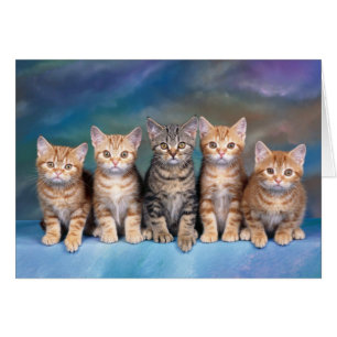 Tarjeta Quintaby Kittens Blank