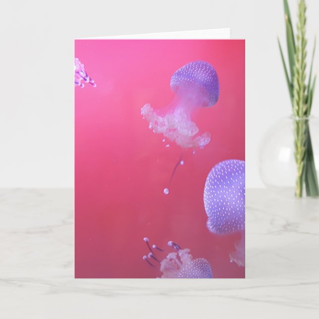 Tarjeta Quirky Jellyfish en el agua rosada (Anverso)