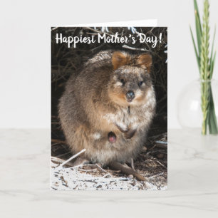 Tarjeta Quokka Australia, el día de la madre más feliz