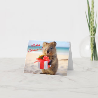 Tarjeta Quokka Selfie en la playa - Navidades