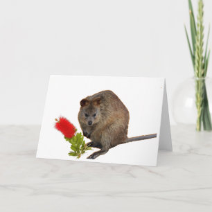 Tarjeta Quokka y el cepillo de botellas  