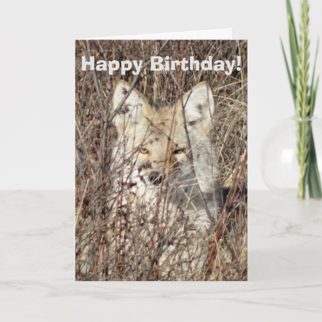 Tarjeta R21 Coyote "Mirándote" (Anverso)