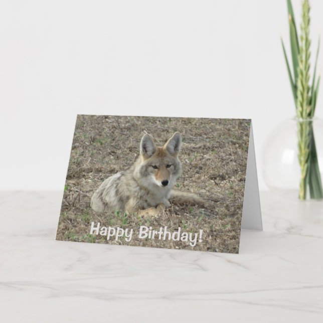 Tarjeta R22 Coyote Acostado (Anverso)