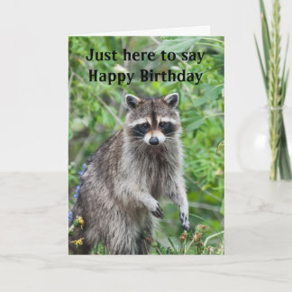 Tarjeta R. Cumpleaños del Coon