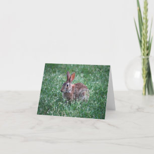 Tarjeta Rabbit Notecard