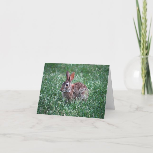 Tarjeta Rabbit Notecard (Anverso)