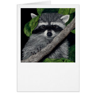 Tarjeta Raccoon "Bandido Local"