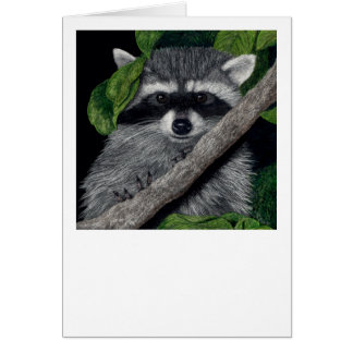 Tarjeta Raccoon "Bandido Local"