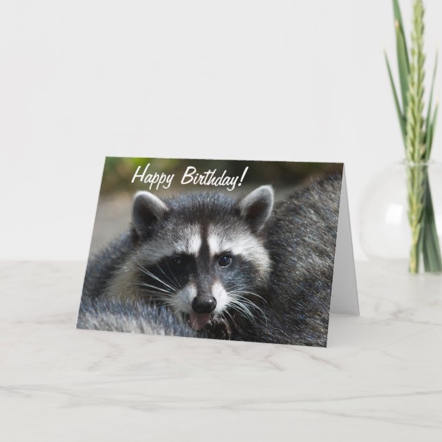 Tarjeta Raccoon Close-Up (Anverso)
