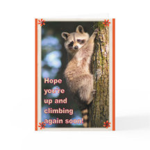 Raccoon consigue una buena carta.