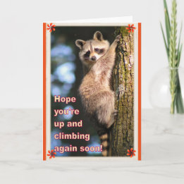 Tarjeta Raccoon consigue una buena carta.