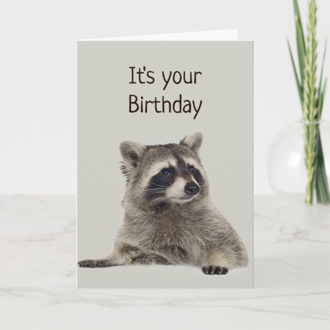 Tarjeta Raccoon divertido no tiene dinero para regalo (Anverso)