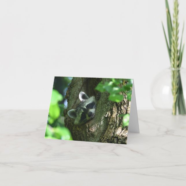Tarjeta Raccoon Friendship Greeting Card (Anverso)