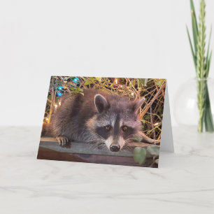 Tarjeta Raccoon Happy Birday Card para todos