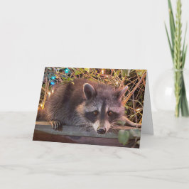 Tarjeta Raccoon Happy Birday Card para todos