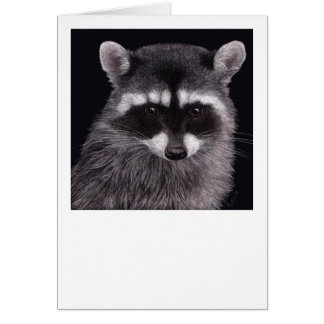Tarjeta Raccoon "Hooligan"
