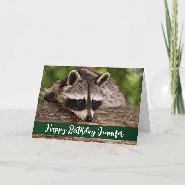 Tarjeta Raccoon lindo descansando en un cumpleaños de regi (Anverso)