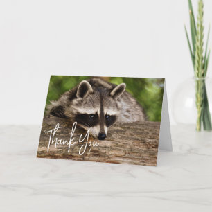 Tarjeta Raccoon lindo en un registro Gracias