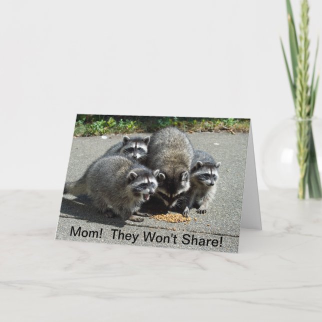 Tarjeta Raccoon Mom & Babies (Anverso)
