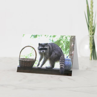 Tarjeta Raccoon y Cookie Jar