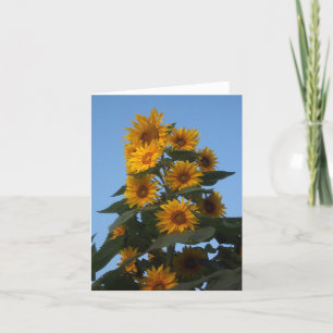 Tarjeta Racimo Notecard del girasol