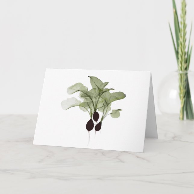 Tarjeta Radiografía: Radish notecard (Anverso)