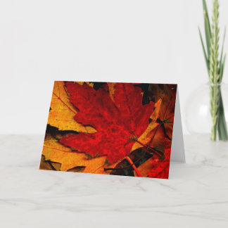 TARJETA RAG MAPLE LEAF