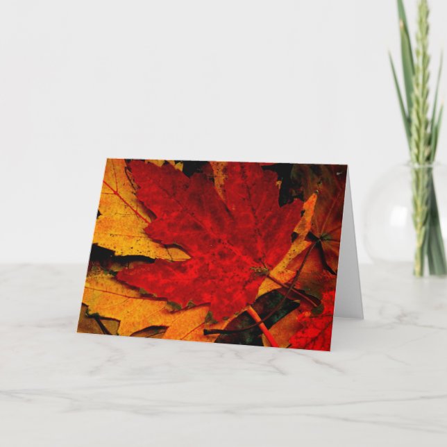 TARJETA RAG MAPLE LEAF (Anverso)