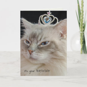 Tarjeta Ragdoll Cat con cumpleaños de corona