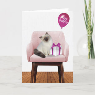 Tarjeta Ragdoll Kitten con regalo de cumpleaños