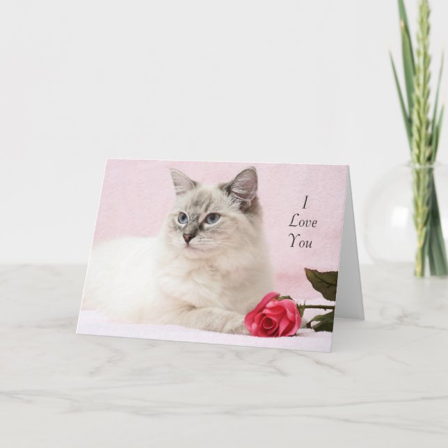 Tarjeta Ragdoll Valentine (Anverso)