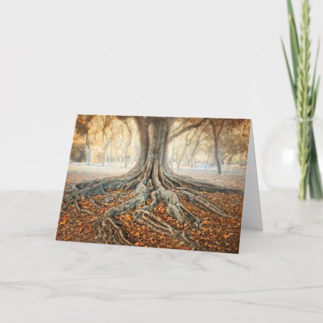 Tarjeta Raíces antiguas del árbol (Anverso)