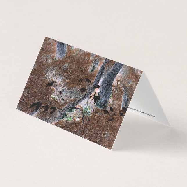 Tarjeta "Raíces" Árboles enrollados, Agujas de pino, Suelo (Anverso)